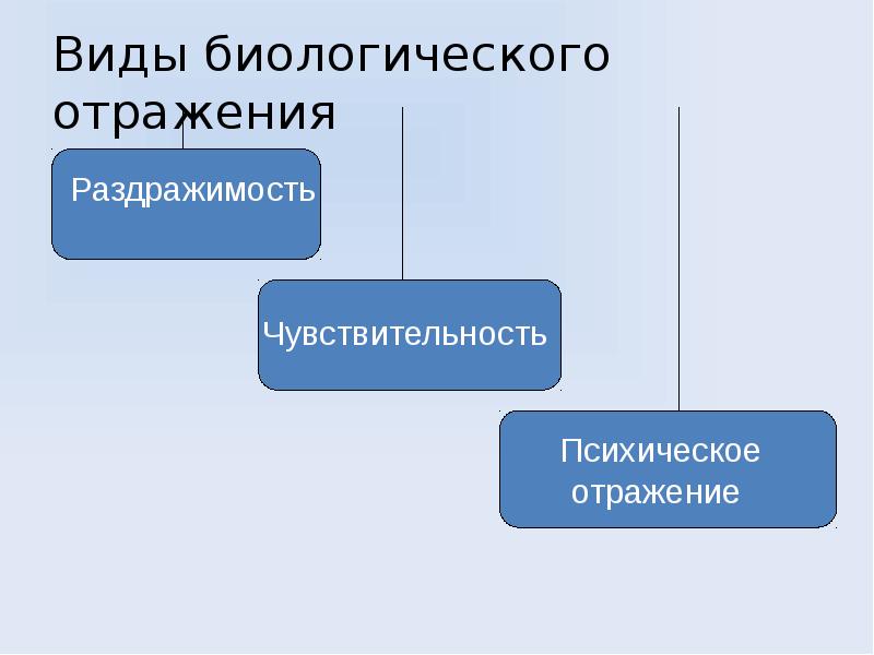 Как построить доклад по презентации