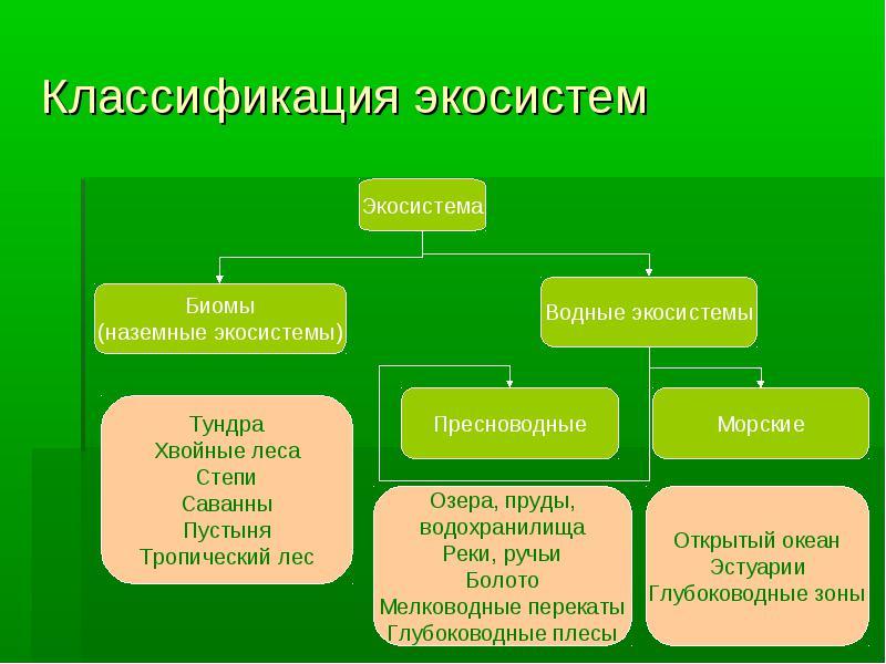 Природная экосистема презентация