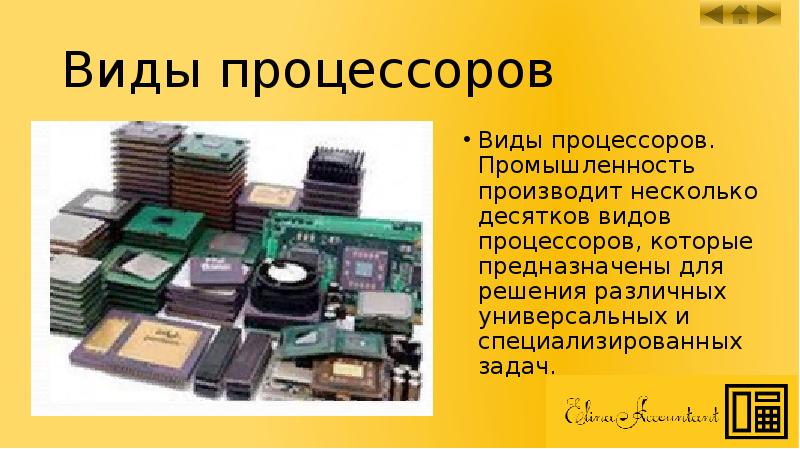 Виды процессоров. Основные типы процессоров. Презентация на тему процессор. Типы процессоров для компьютера.