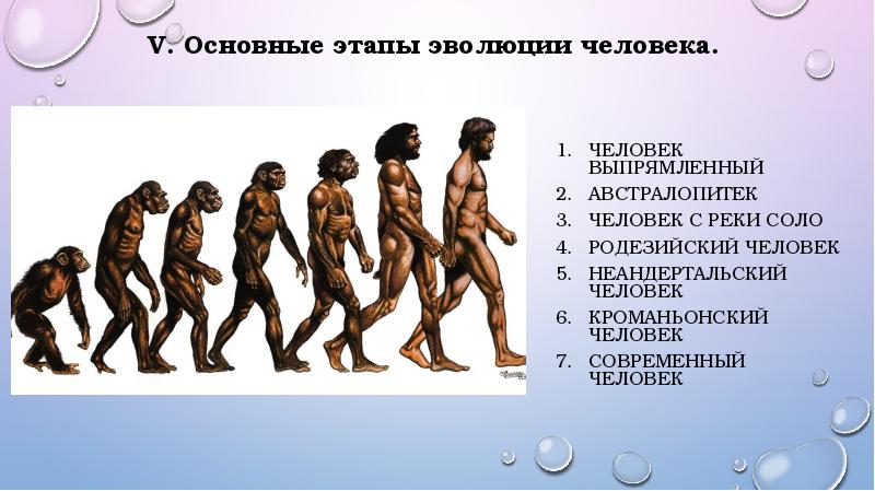 Эволюция человека презентация 9 класс