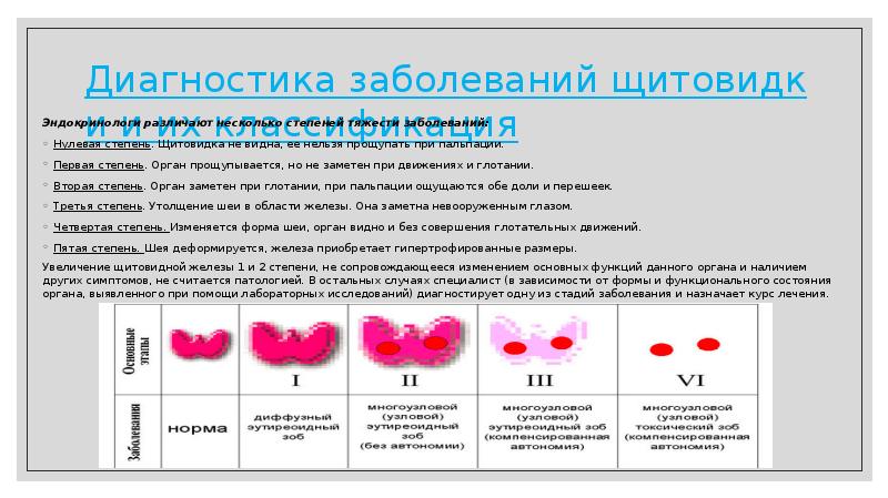 Что значит сосудистый рисунок усилен в щитовидной железе