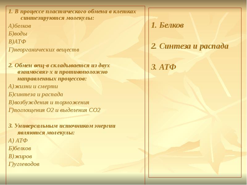 Пластические процессы. В процессе пластического обмена в клетках синтезируются молекулы. Процессы пластического обмена в клетке. Пластический обмен это процесс. В процессе пластического обмена в клетках растений синтезируются.