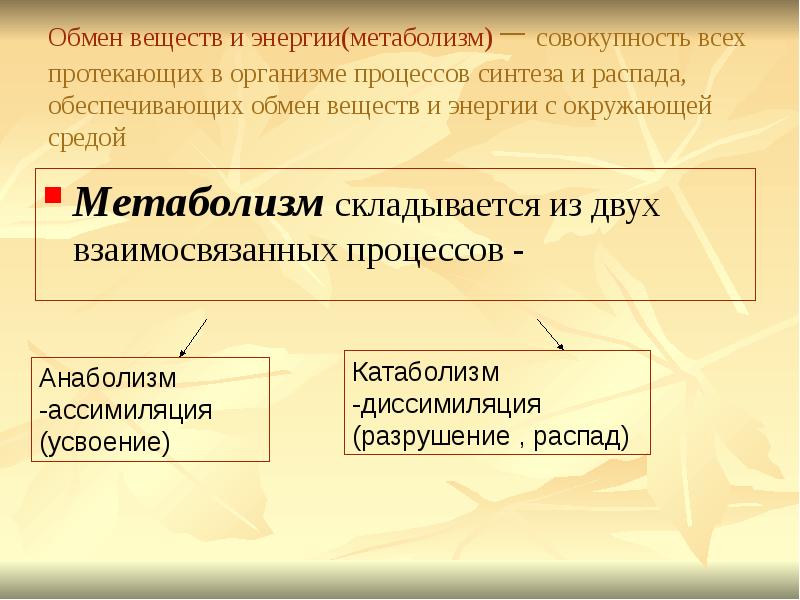 Совокупность протекающих в организме. Обмен веществ и энергии. Обмен веществ и энергии метаболизм. Обмен веществ и энергии это процесс. Метаболизм состоит из двух взаимосвязанных процессов.