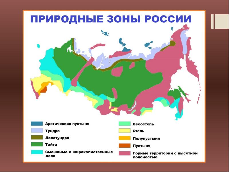 Природные зоны земли проект