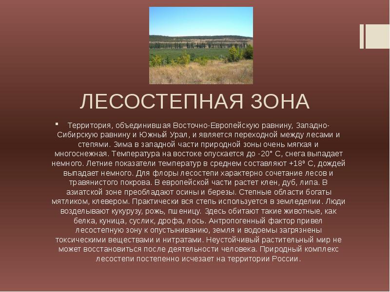 Описание восточно европейской равнины по плану 8 класс география домогацких