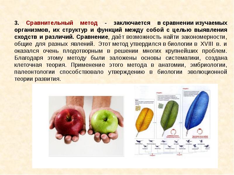 Метод сравнения это. Сравнительный метод в биологии. Сравнительный метод заключается …. Метод сравнения в биологии. Сравнительный метод исследования в биологии.