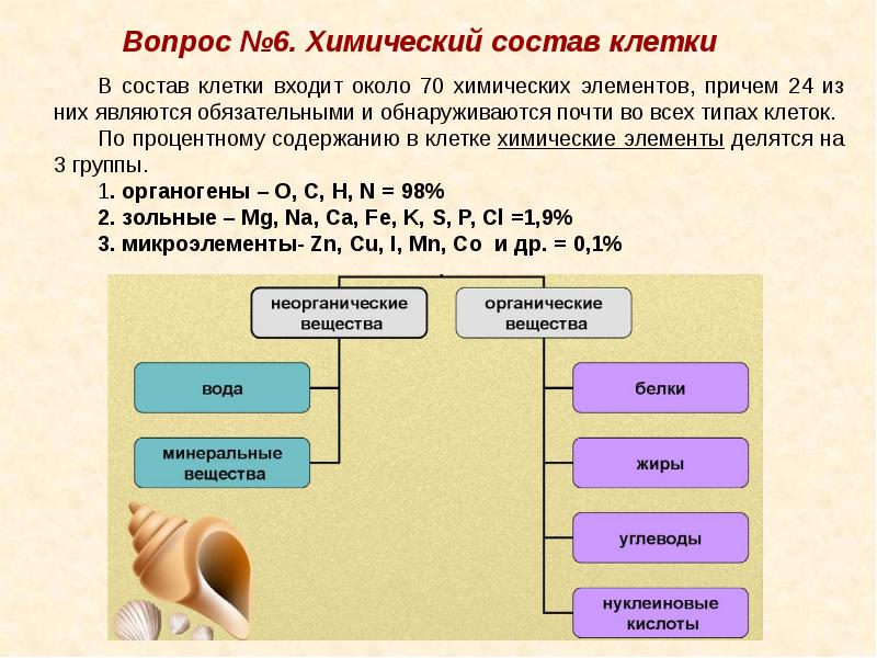 Элементы химического состава клетки. Химический состав клетки белки. Химический состав клетки 10 класс. Химический состав клетки 6 класс. Элементарный химический состав живой клетки.