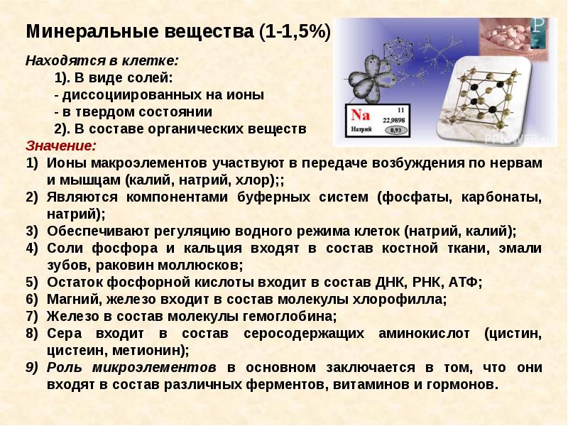 Вещества и их значение. Минеральные вещества твердые и диссоциированные на ионы. диссоциированное состояние вещества. минеральные вещества твердые и диссоциированные на ионы схема. что входит в состав мела биология животные.