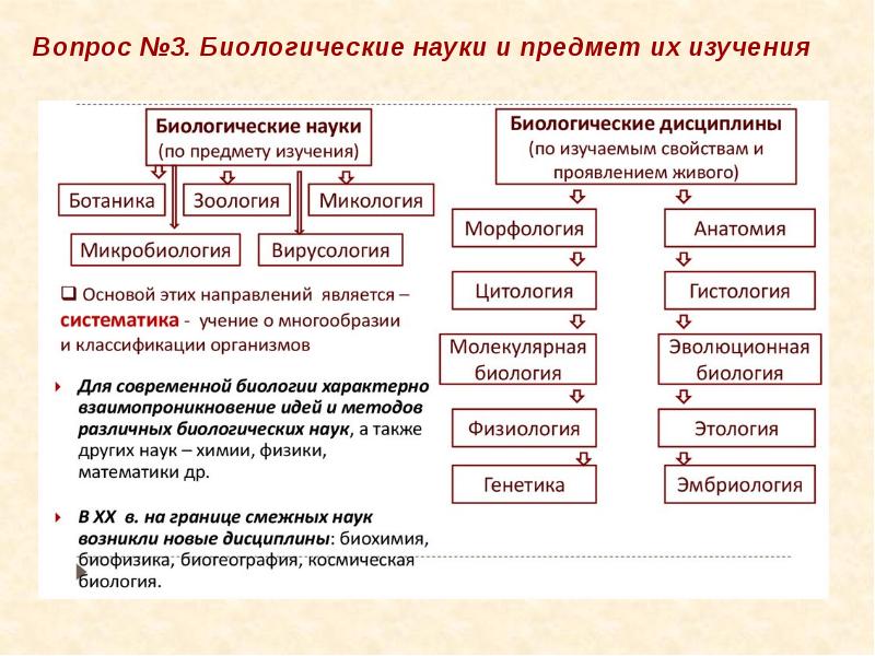 кафедра зоологии ргау мсха. биология зоотехния. биология зоотехния. ветеринар учебное заведение. тимирязевская академия зоотехния и биология.
