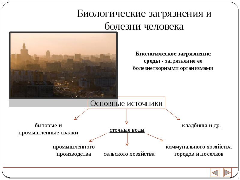 Биологические загрязнения и болезни человека презентация