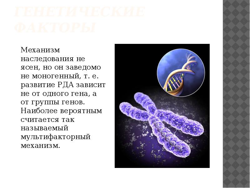 Хромосома рибосома. Основа хромосом. Рибосомы и хромосомы. Механизм наследственности. Химическая основа хромосомы.