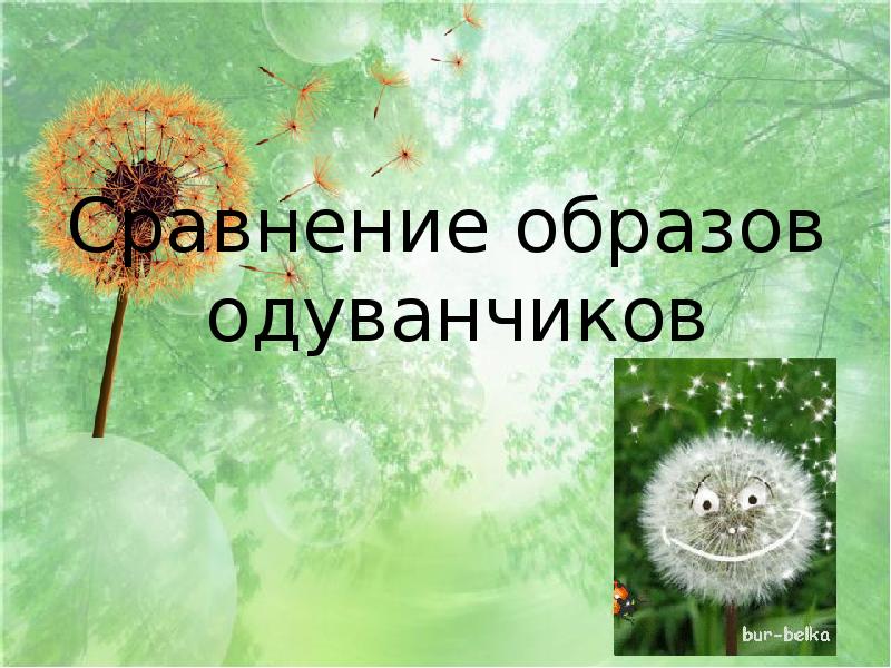 О высотская одуванчик з александрова одуванчик сравнение образов презентация 3 класс