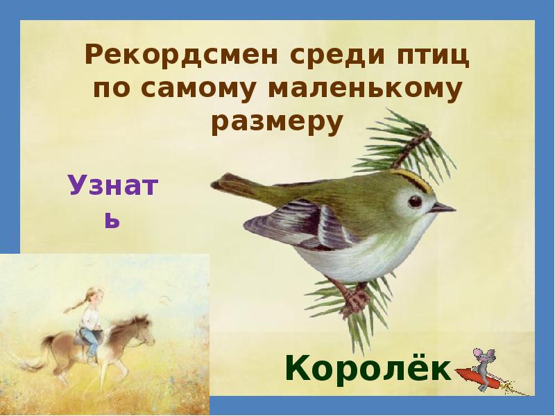 Птицы рекордсмены