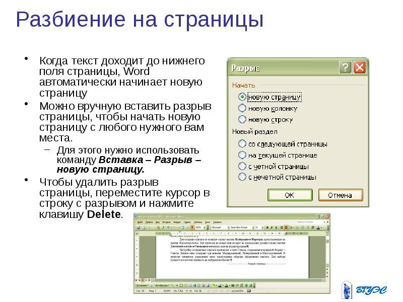 Презентация на тему ворд по информатике