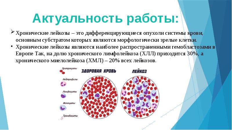 Скачать лекцию Лейкозы. ppt бесплатно