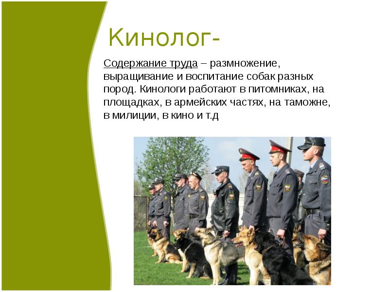 Профессия кинолог. Профессия кинолог. Профессия кинолог описание. Кинолог презентация. Проект на тему кинолог.