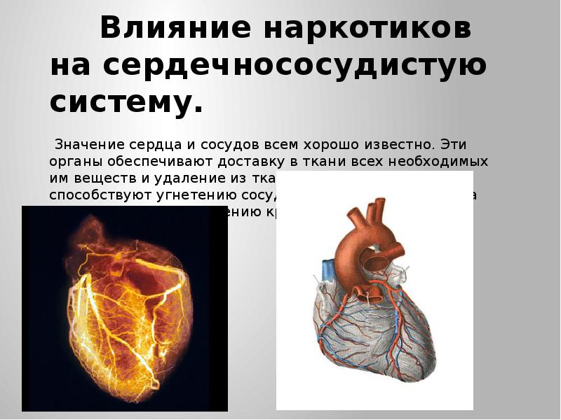 Проект по биологии сердечно сосудистые заболевания