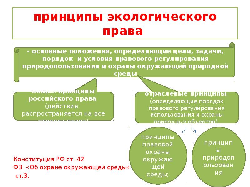 Правовая охрана окружающей среды. Принципы экологического права схема. Принципы экологического права таблица. Принципы экологического законодательства. Основной принцип экологического права.