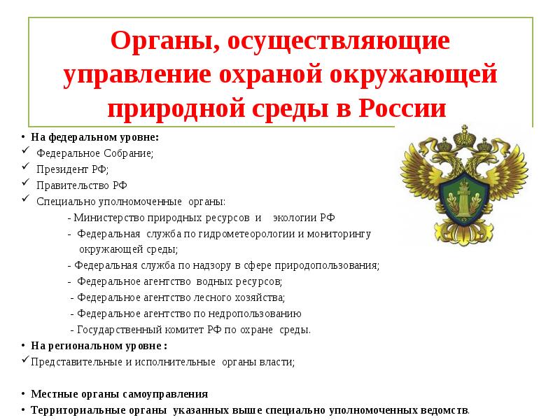 Руководящий документ по системе управления охраной окружающей среды образец