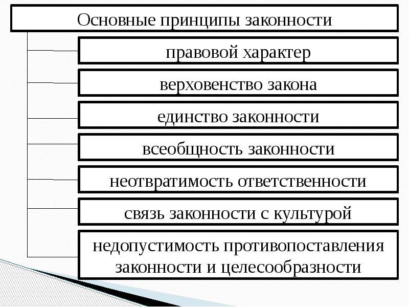 Законность и правопорядок тгп презентация