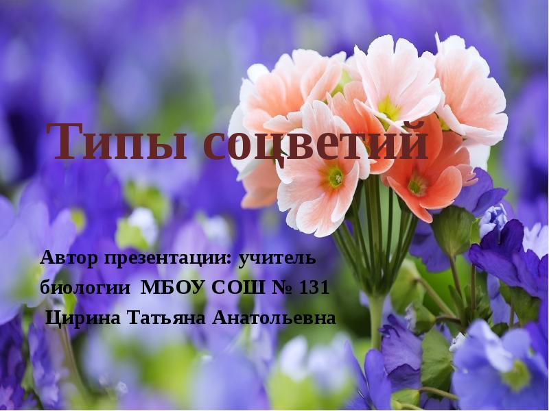 Типы соцветий
Автор презентации: учитель
биологии МБОУ СОШ № 131
Типы соцветий
Автор презентации: учитель
биологии МБОУ СОШ № 131