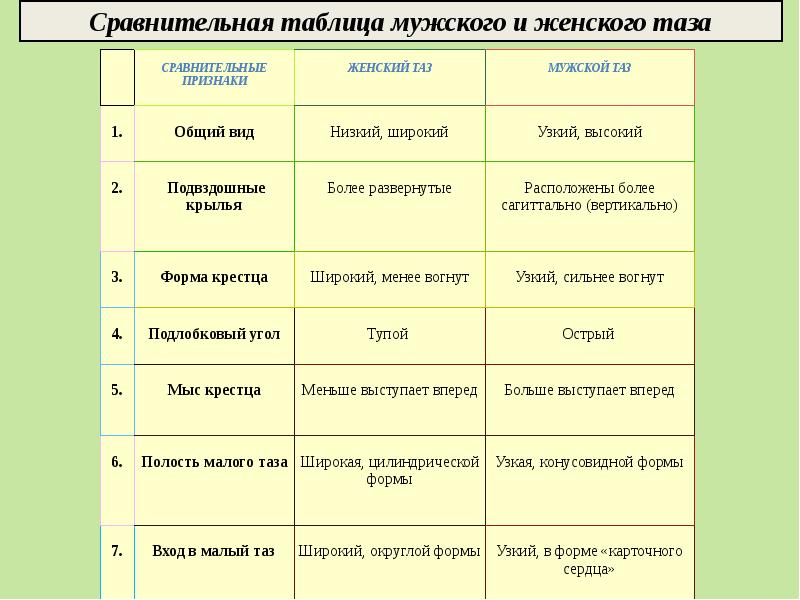 Таблица разницы. Сравнительная таблица мужского и женского таза. Половые отличия таза таблица. Различия женского и мужского таза таблица. Отличия мужского и женского таза.