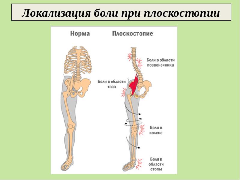 Направленная костная регенерация презентация