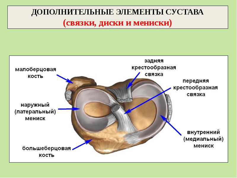 травмы связок коленного сустава. разрыв медиального мениска. повреждение боковых связок коленного сустава. разрыв боковой связки коленного сустава. частичное повреждение внутренней коллатеральной связки.