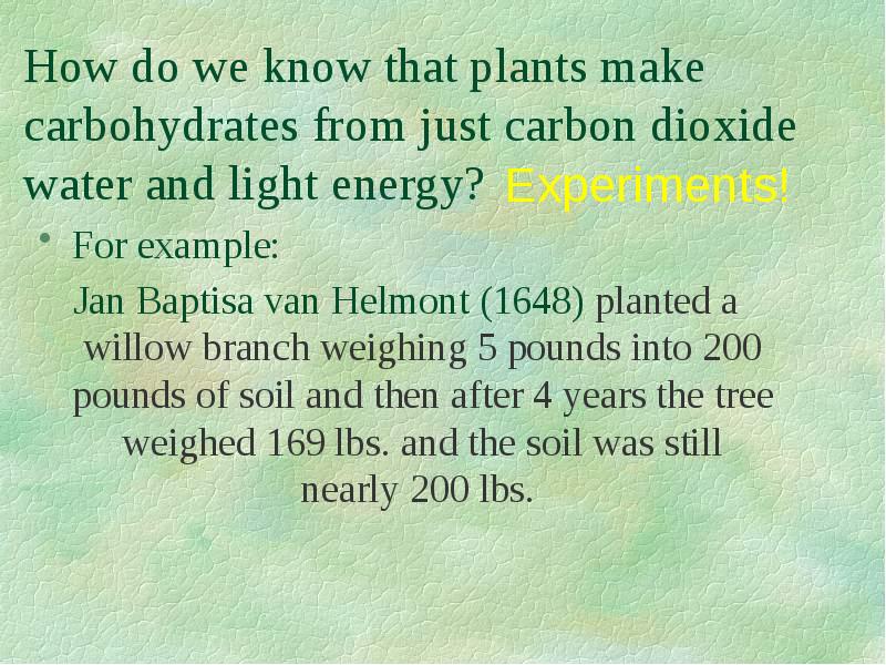 PHOTOSYNTHESIS
