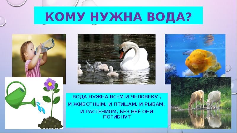 Елке нужна вода. Кому нужна вода. Фото кому нужна вода. Вода нужна всем. Кому нужна вода птицы.