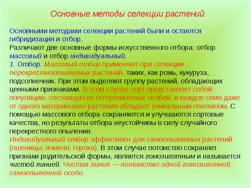 Значение изучения предковых форм для современной селекции презентация