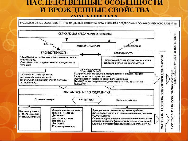 Закономерности психического развития ребенка скачать