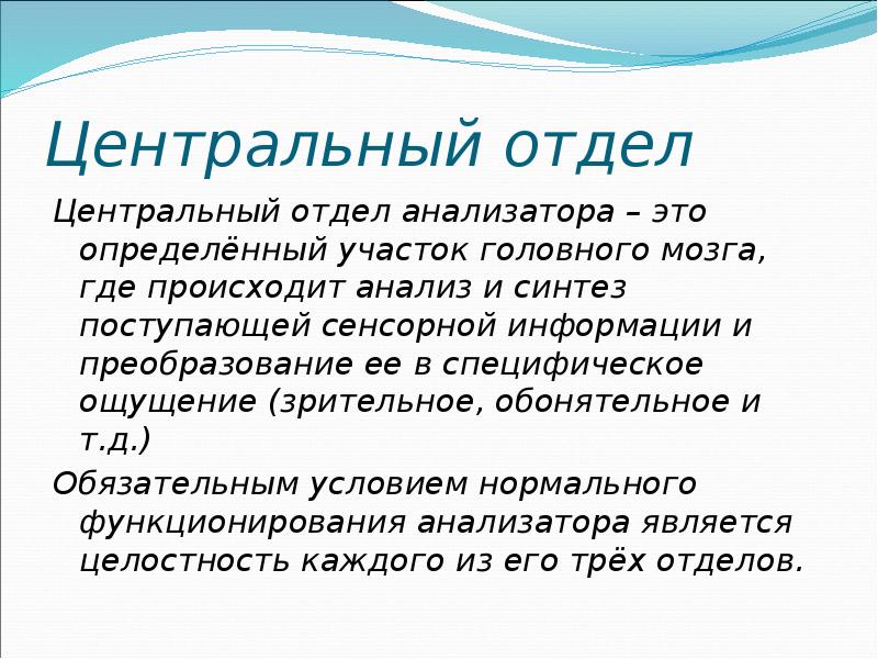 Синтез поступающей информации. Центральный отдел анализатора. Понятие об анализаторах. Центральный отдел. Центральный отдел вкусового анализатора Центральный отдел.