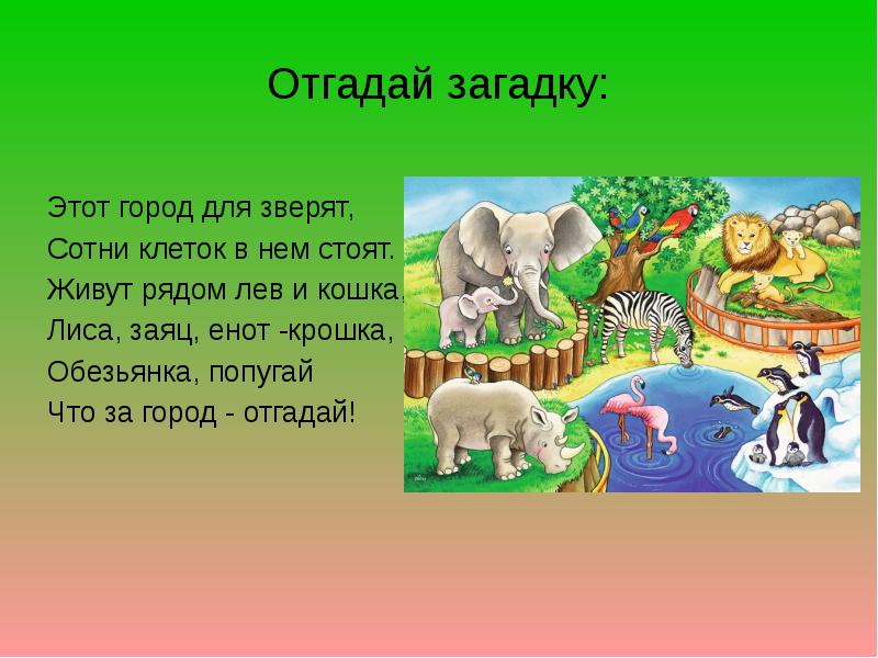 Проект на тему зоопарк в старшей группе