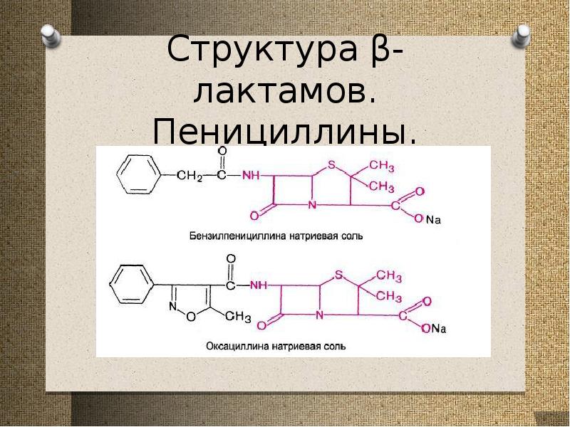 Бета лактамные антибиотики