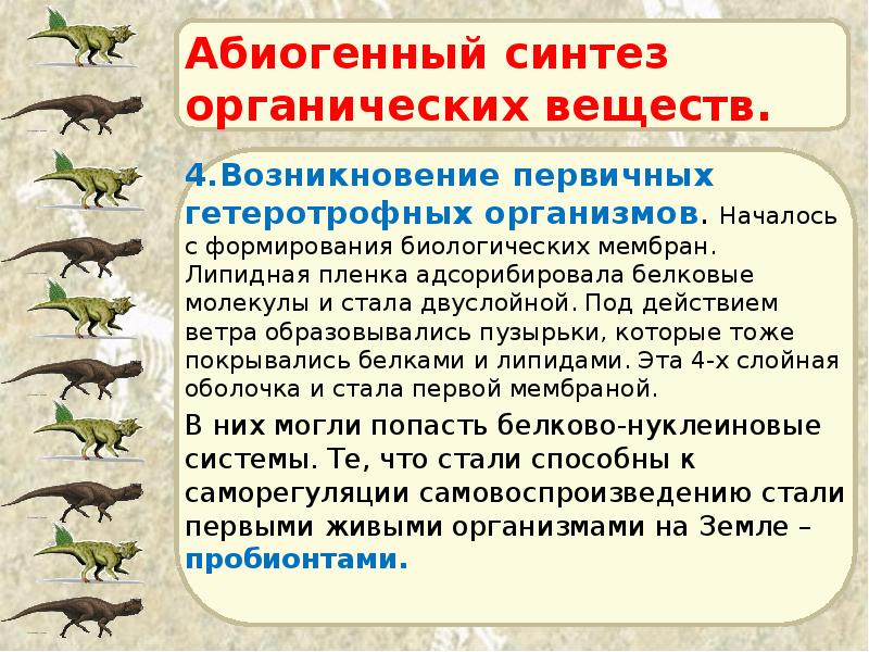 Абиогенный синтез органических веществ. 4.Возникновение первичных гетеротрофных организмов. Началось с формирования