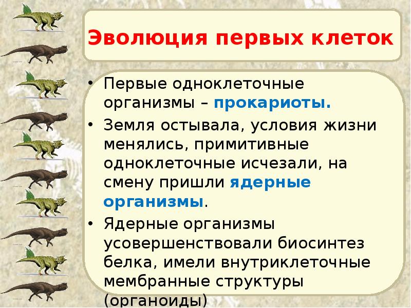 Эволюция первых клеток Первые одноклеточные организмы – прокариоты. Земля остывала, условия