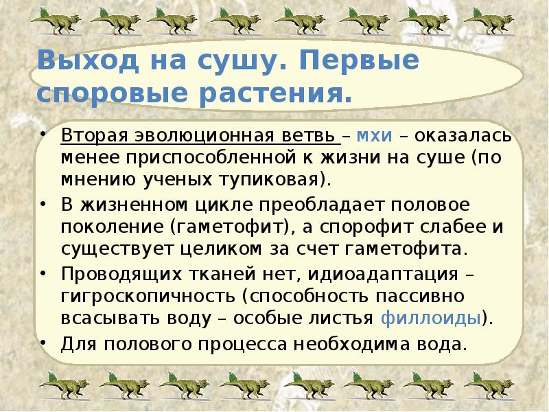 Выход на сушу. Первые споровые растения. Вторая эволюционная ветвь – мхи