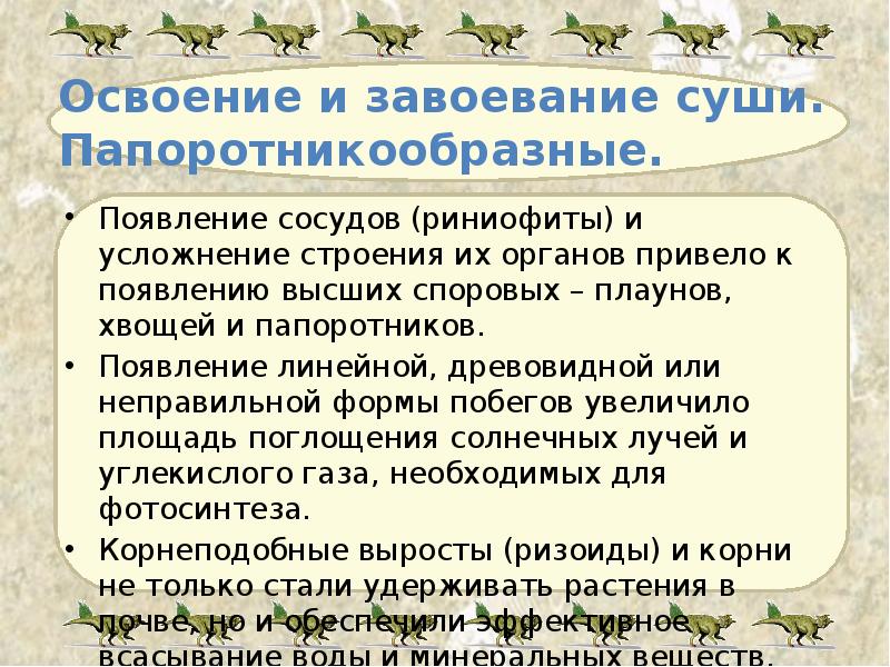 Освоение и завоевание суши. Папоротникообразные. Появление сосудов (риниофиты) и усложнение строения
