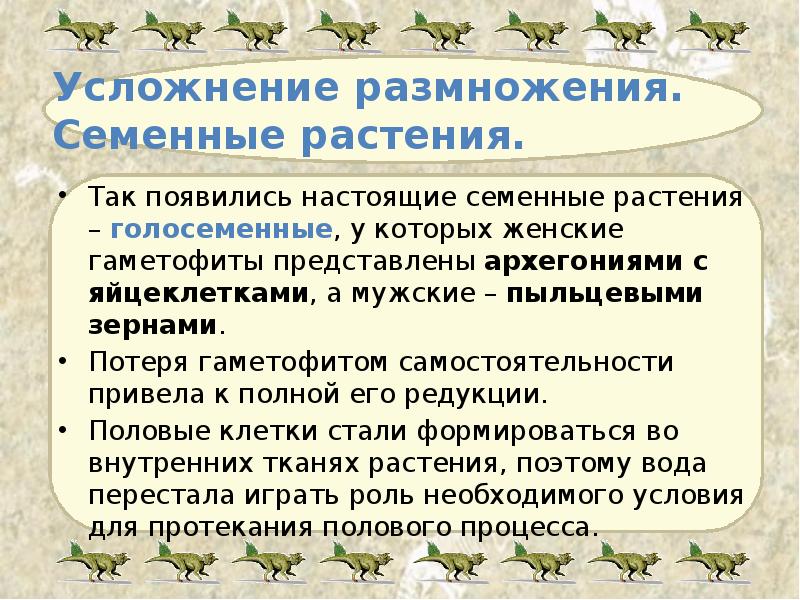 Усложнение размножения.  Семенные растения. Так появились настоящие семенные растения –