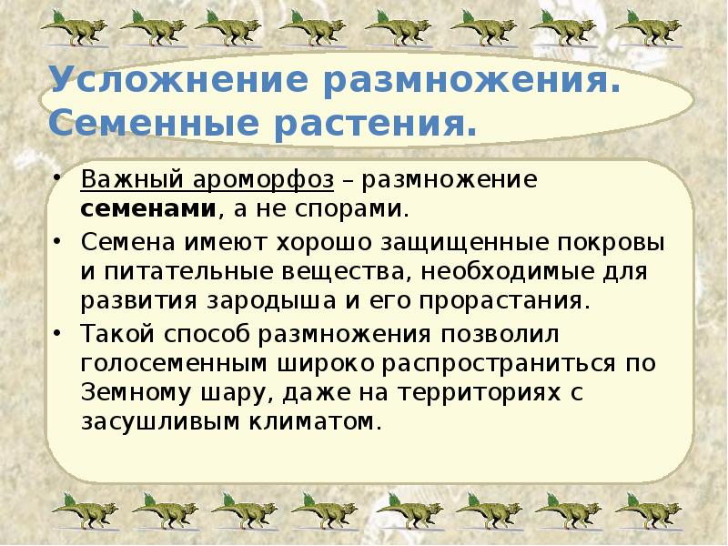 Усложнение размножения.  Семенные растения. Важный ароморфоз – размножение семенами, а