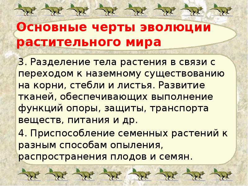 Основные черты эволюции растительного мира 3. Разделение тела растения в связи
