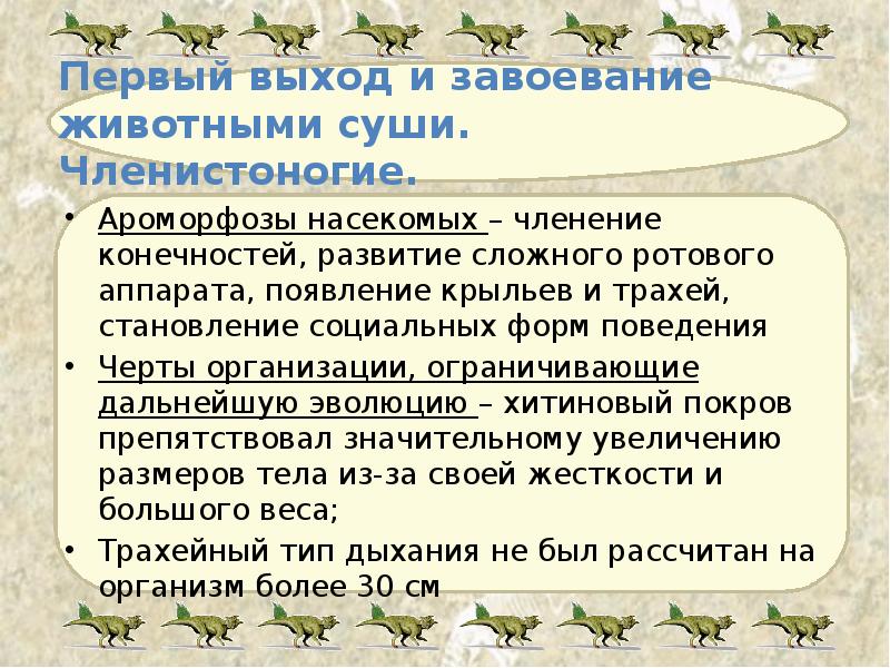 Первый выход и завоевание животными суши. Членистоногие. Ароморфозы насекомых – членение