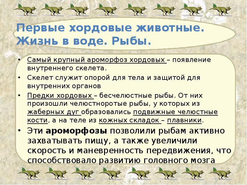 Первые хордовые животные.  Жизнь в воде. Рыбы. Самый крупный ароморфоз