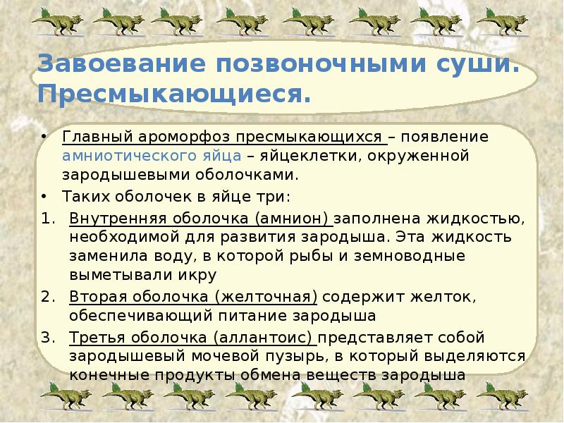 Завоевание позвоночными суши. Пресмыкающиеся. Главный ароморфоз пресмыкающихся – появление амниотического яйца