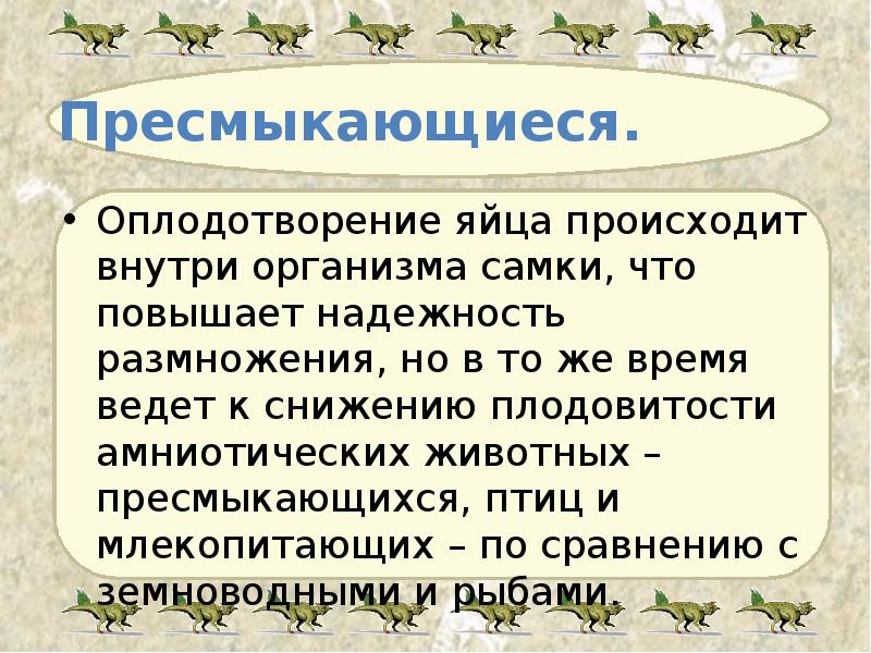 Пресмыкающиеся. Оплодотворение яйца происходит внутри организма самки, что повышает надежность размножения,
