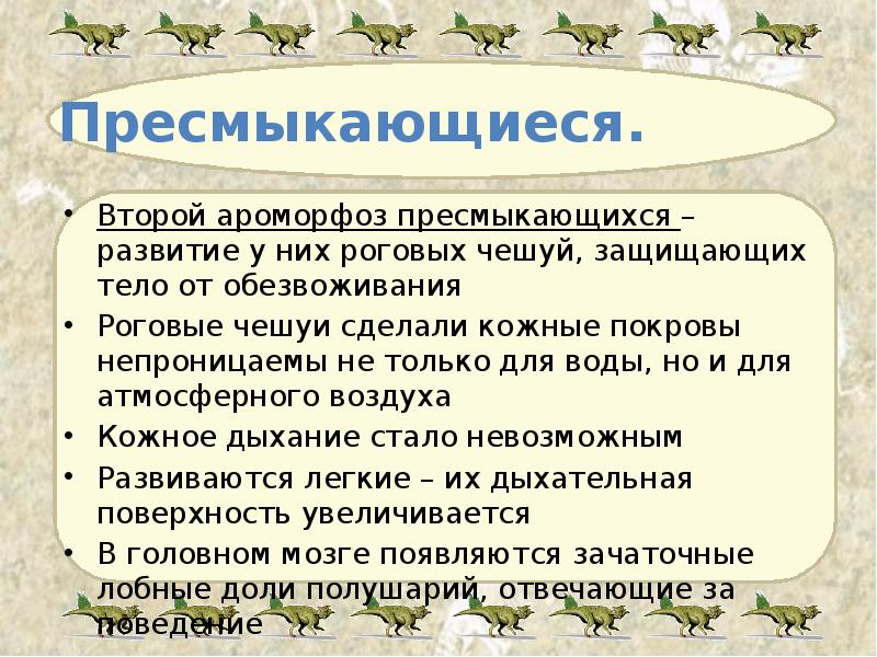 Пресмыкающиеся. Второй ароморфоз пресмыкающихся – развитие у них роговых чешуй, защищающих