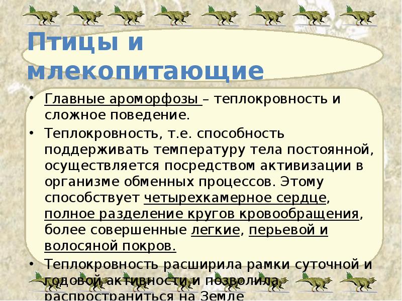 Птицы и млекопитающие Главные ароморфозы – теплокровность и сложное поведение. Теплокровность,