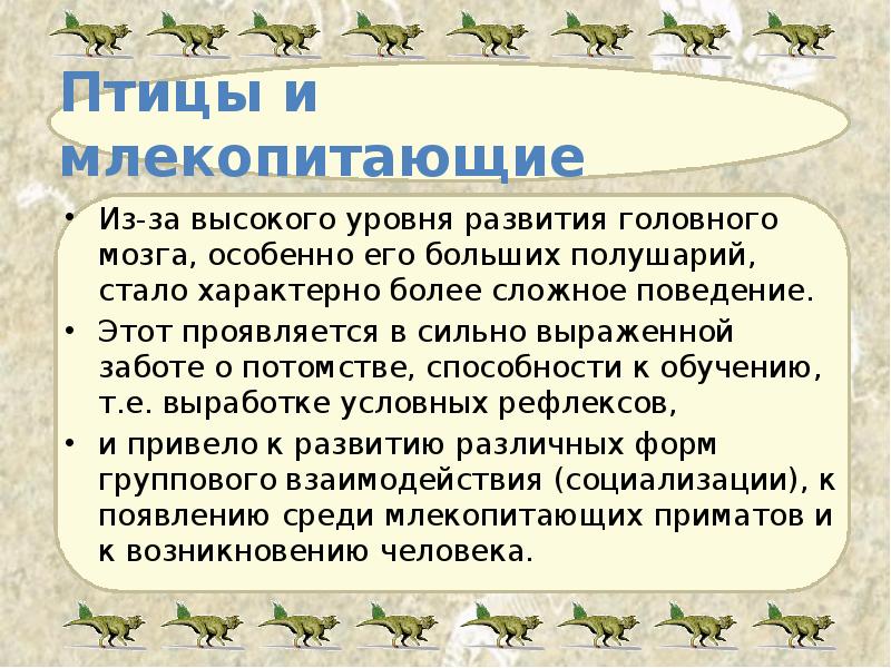 Птицы и млекопитающие Из-за высокого уровня развития головного мозга, особенно его
