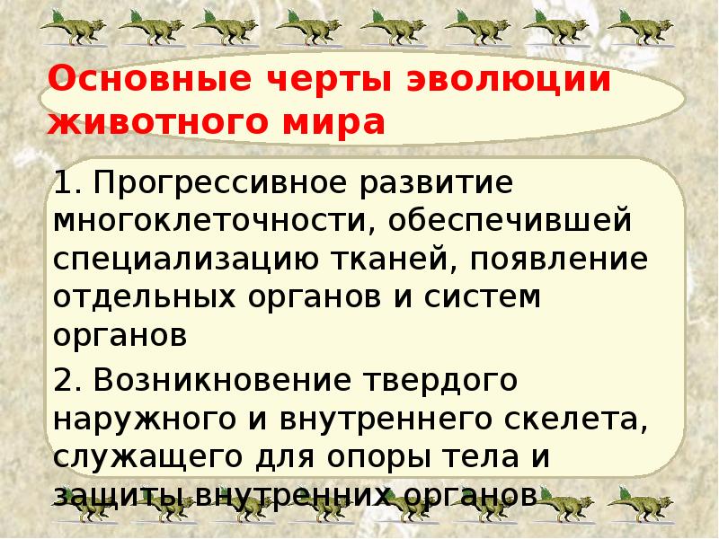 Основные черты эволюции  животного мира 1. Прогрессивное развитие многоклеточности, обеспечившей